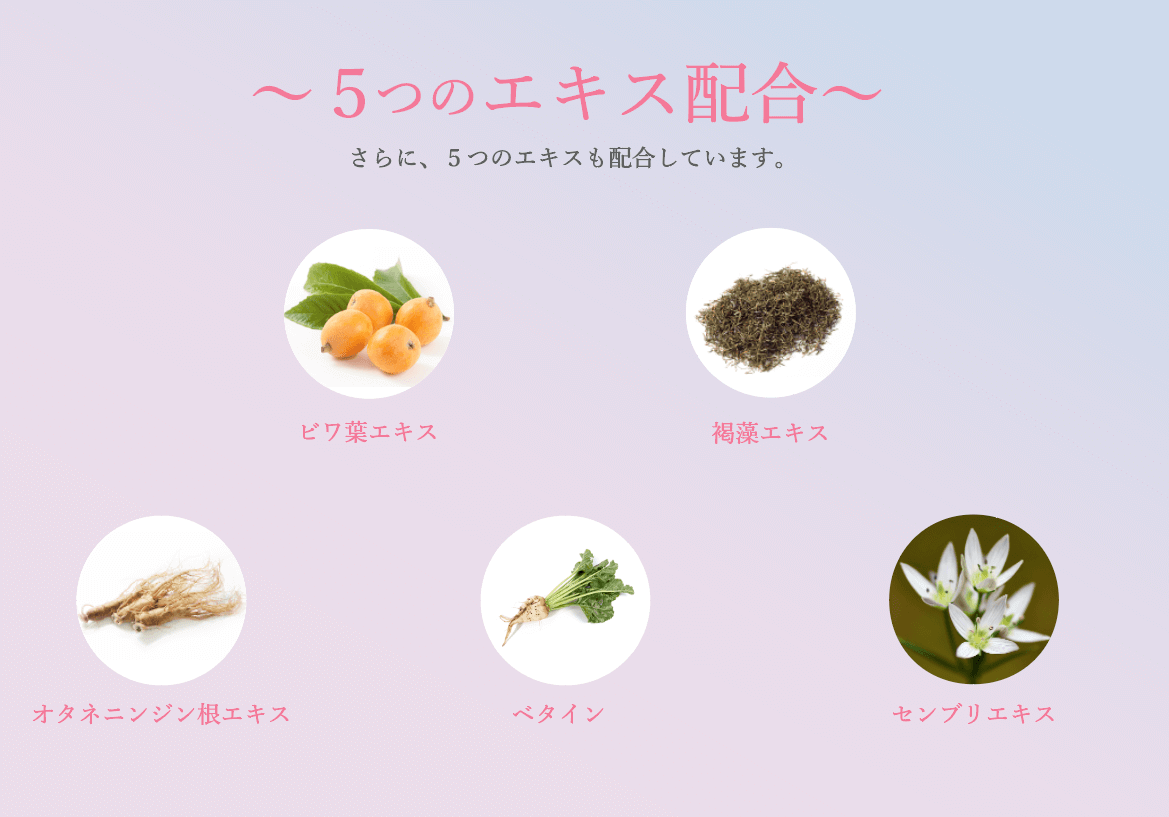 【セール】【送料無料】【75%OFF】北国馬油 ラッキーライラックシャンプー&トリートメントセット