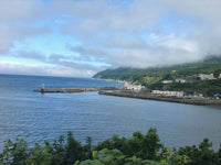 海参馬油 使用イメージ2